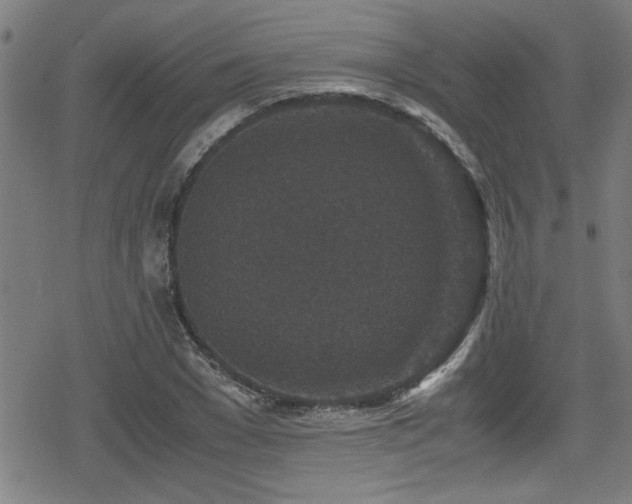 X0000078860977200611131159