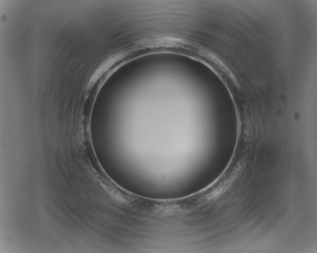 X0000078860978200611131159