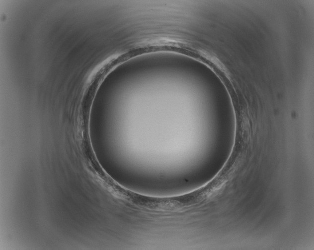 X0000078860979200611131159