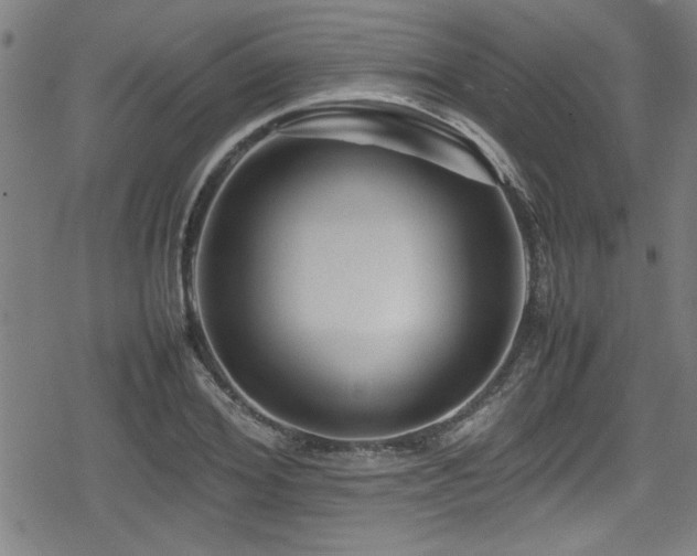 X0000078860980200611131158