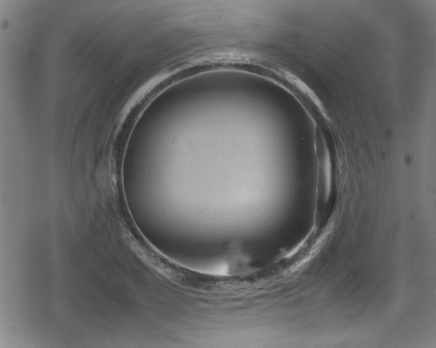 X0000078860981200611131158