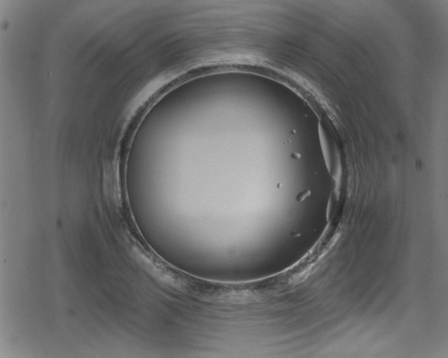 X0000078860982200611131158