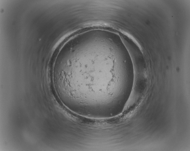 X0000078860983200611131158