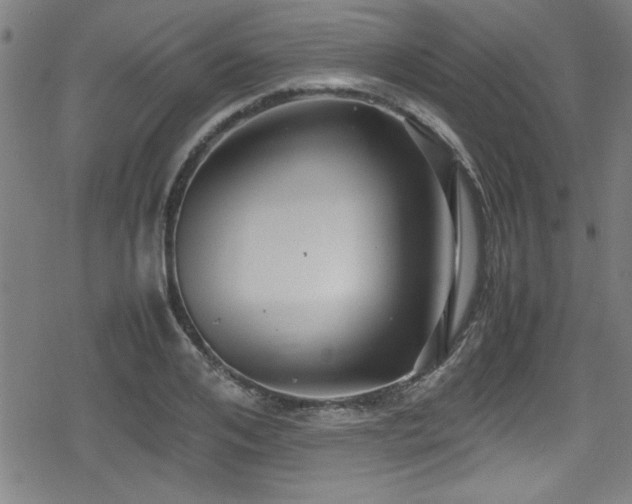 X0000078860984200611131158