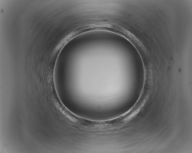 X0000078860985200611131158