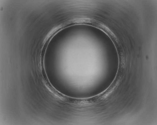 X0000078860986200611131158