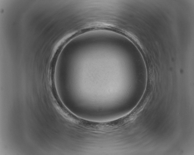 X0000078860987200611131158