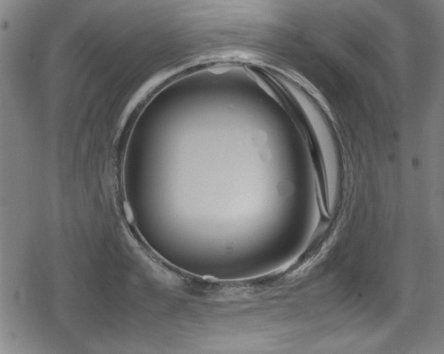 X0000078860989200611131158