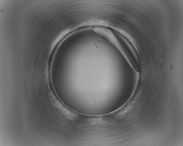 X0000078860990200611131158