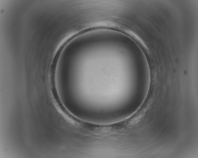 X0000078860991200611131158