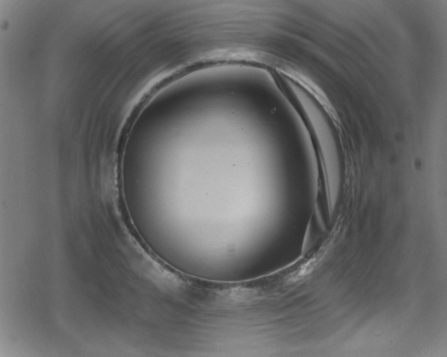 X0000078860992200611131158