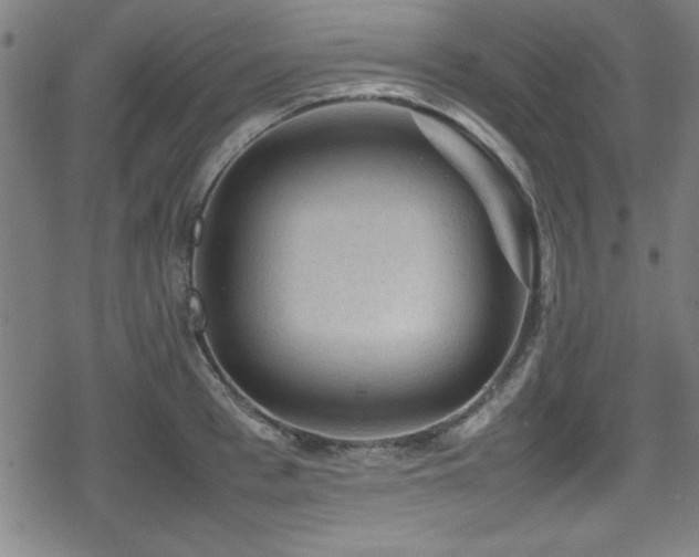 X0000078860993200611131158