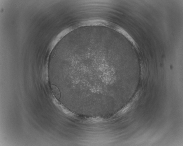 X0000078860994200611131158