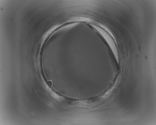 X0000078860995200611131158