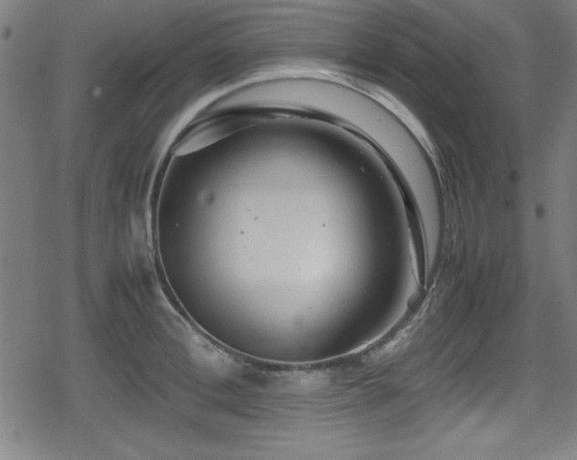 X0000078860996200611131158