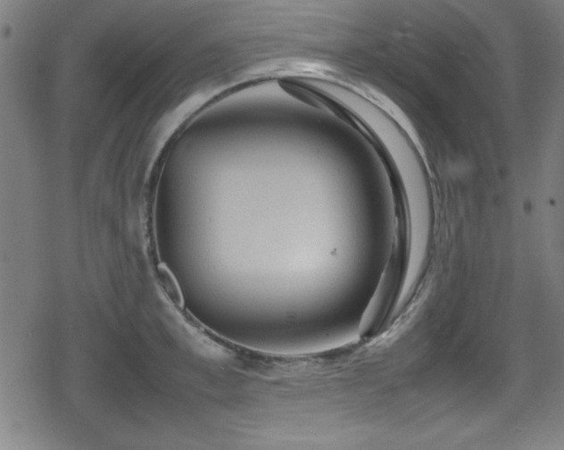 X0000078860997200611131158