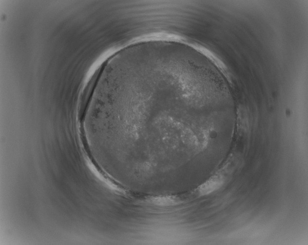 X0000078860998200611131158