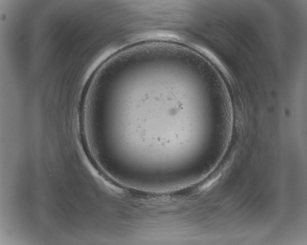 X0000078860999200611131158