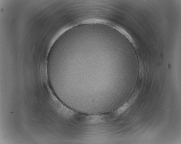 X0000078861000200611131158