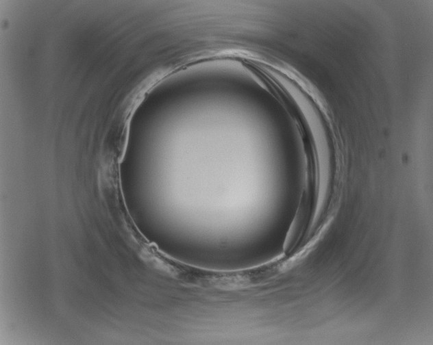 X0000078861001200611131158