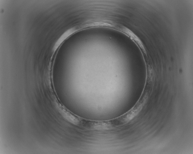 X0000078861002200611131158