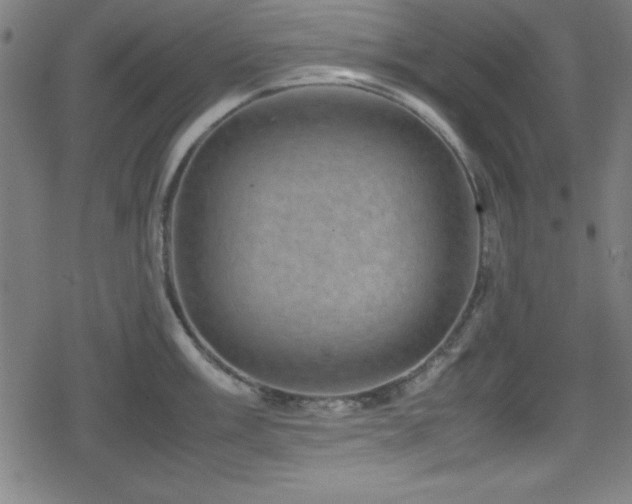 X0000078861003200611131158