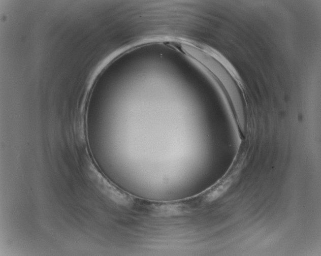 X0000078861004200611131158