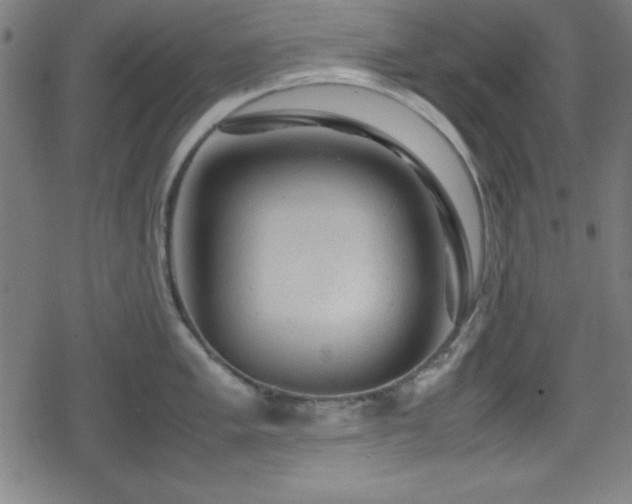 X0000078861005200611131158