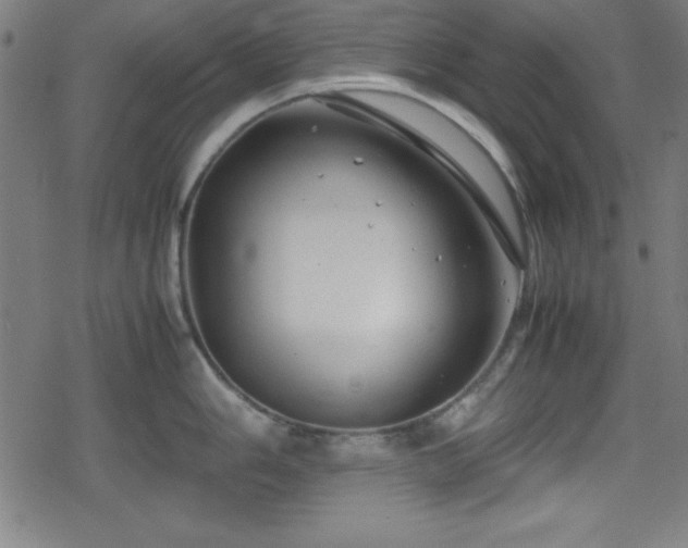 X0000078861006200611131158