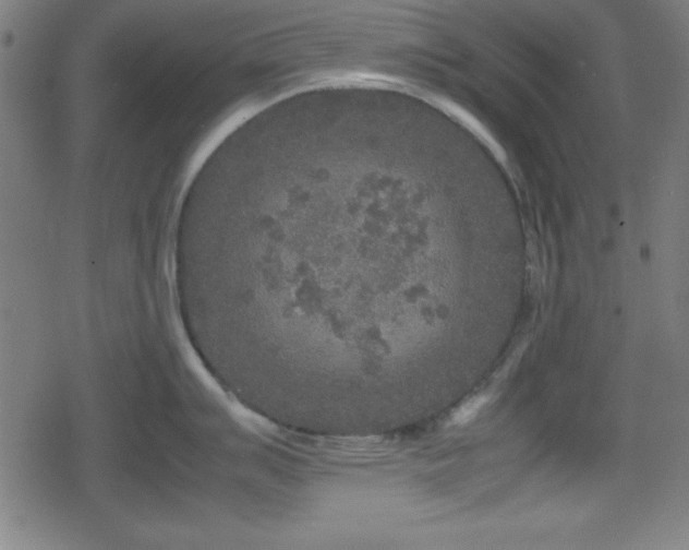 X0000078861007200611131158