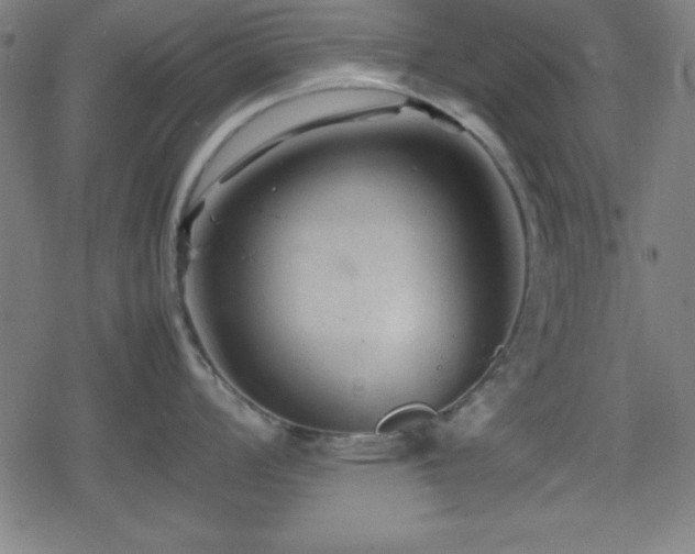 X0000078861008200611131158