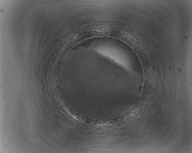 X0000078861009200611131157