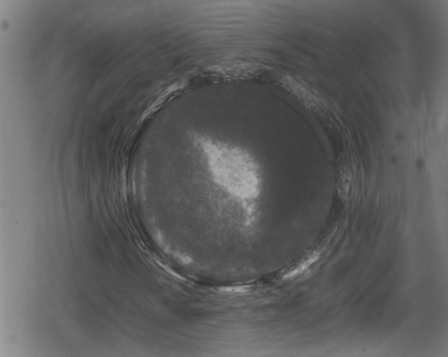 X0000078861010200611131157