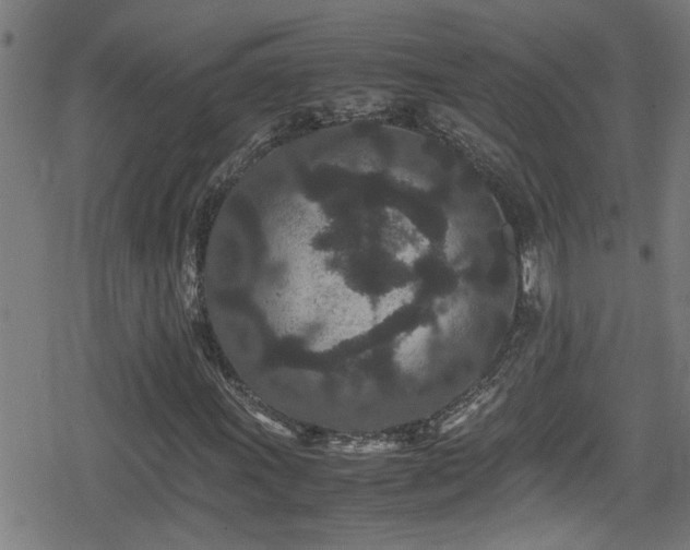 X0000078861011200611131157