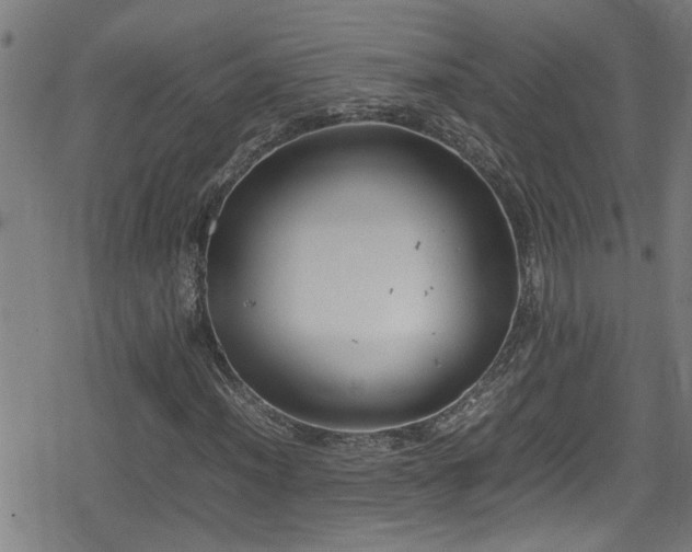 X0000078861012200611131157