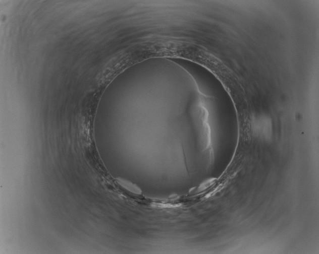 X0000078861013200611131157