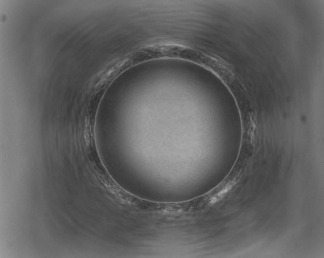 X0000078861014200611131157