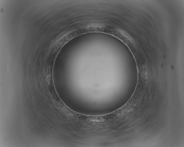 X0000078861015200611131157