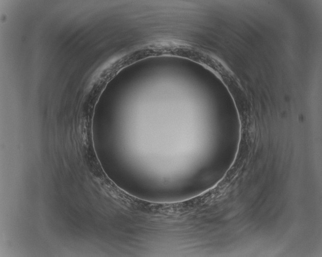 X0000078861016200611131157