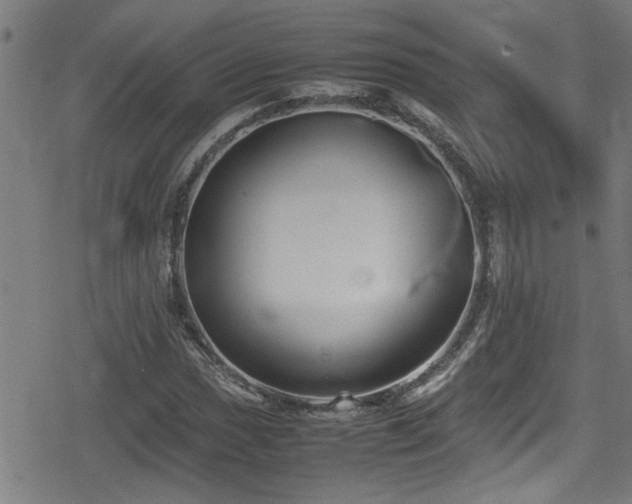 X0000078861017200611131157