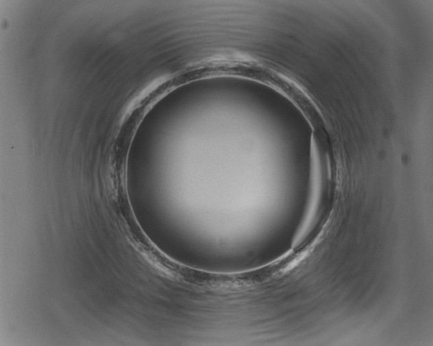 X0000078861018200611131157