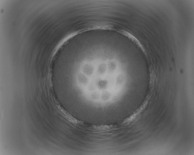 X0000078861019200611131157