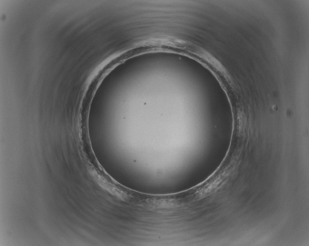 X0000078861020200611131157