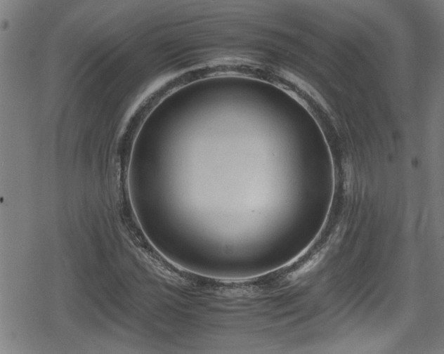 X0000078861021200611131157