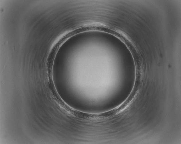 X0000078861022200611131157