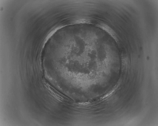 X0000078861023200611131157