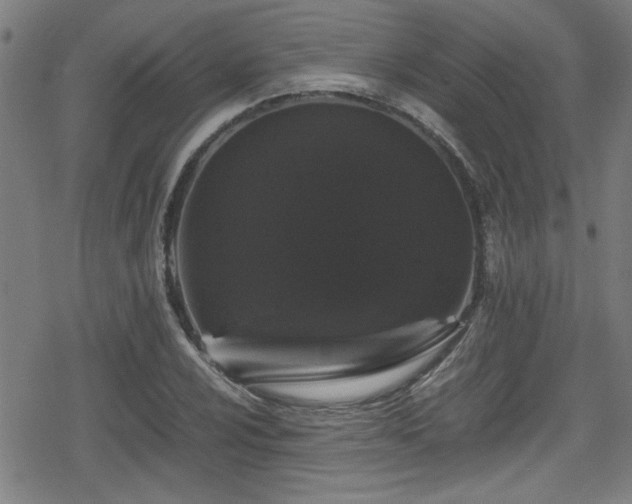 X0000078861024200611131157