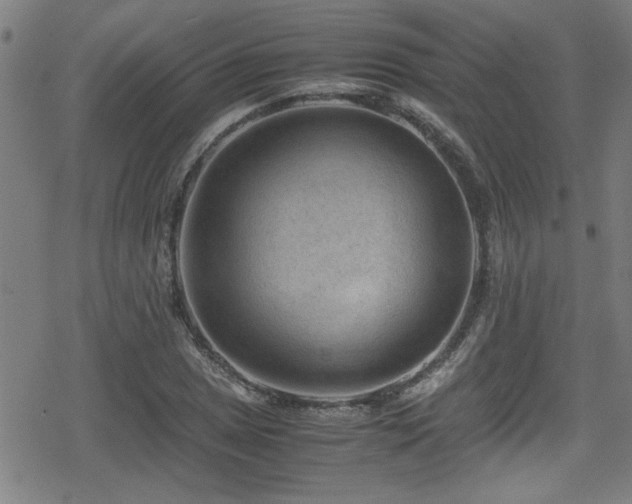 X0000078861025200611131158