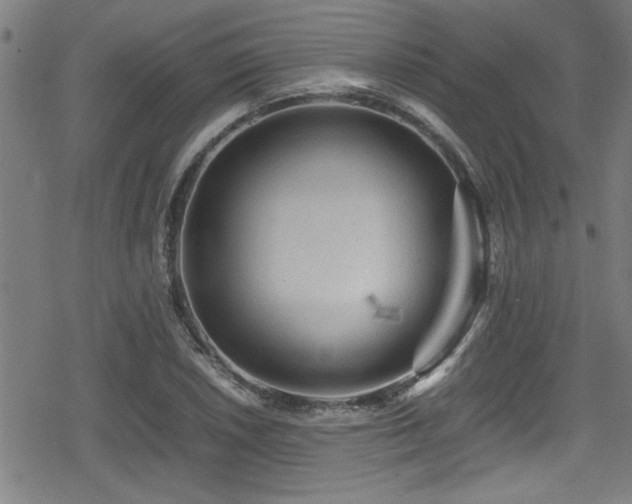 X0000078861026200611131158