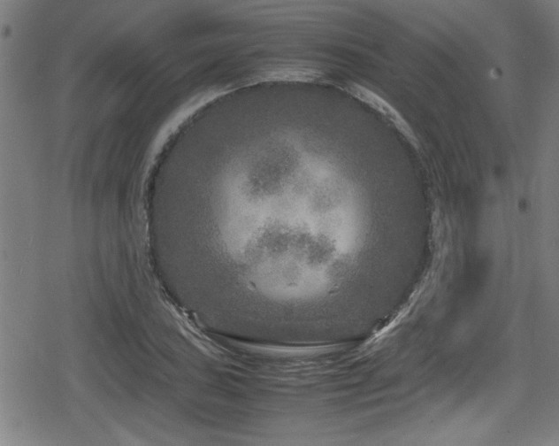 X0000078861027200611131158